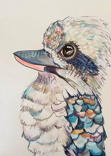 Koko the Kookaburra