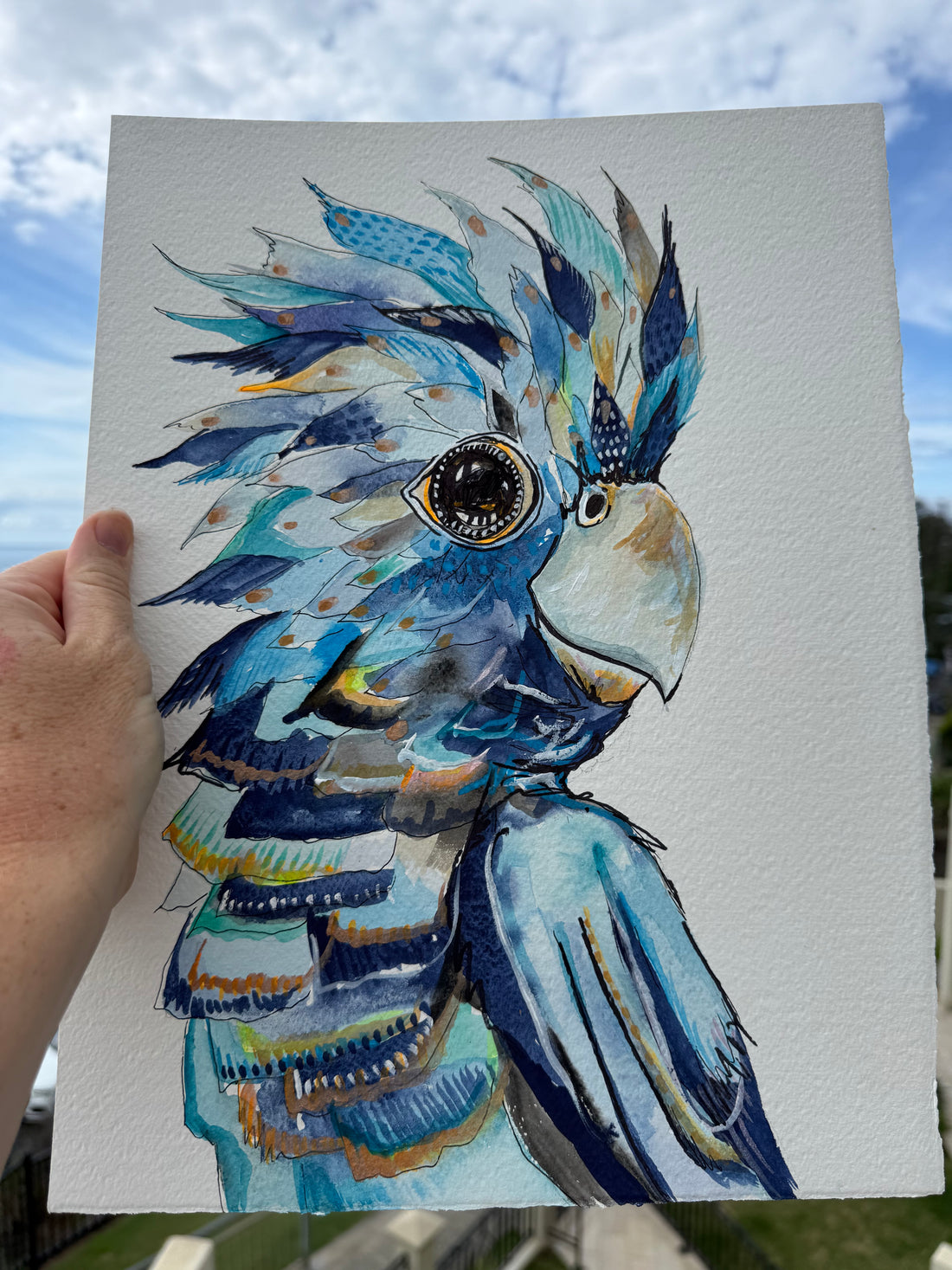 Jerry the Black Cockatoo