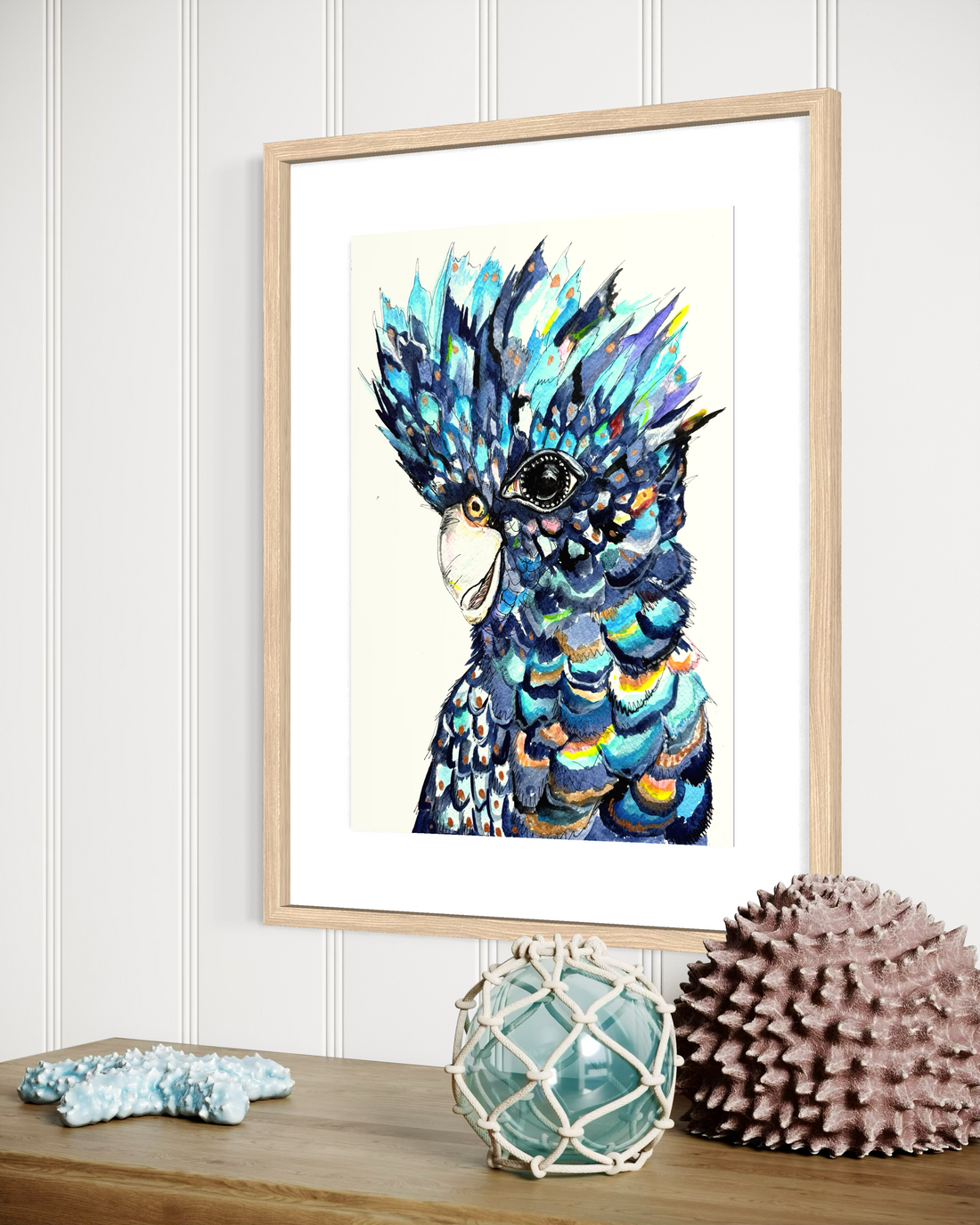 Terri the Black Cockatoo